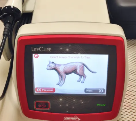 Laser therapy machine with cat image on it